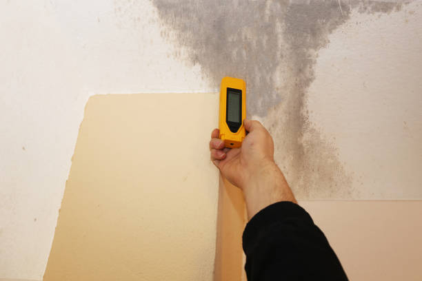 Best Dehumidification Services  in East Basin, UT