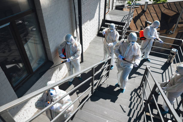 Best Basement Mold Removal  in East Basin, UT