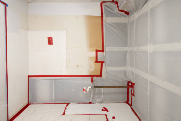 Best Forensic Mold Investigation  in East Basin, UT