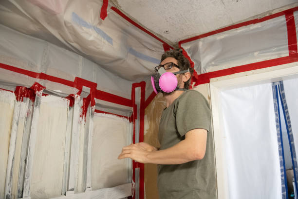 East Basin, UT Mold Removal Company