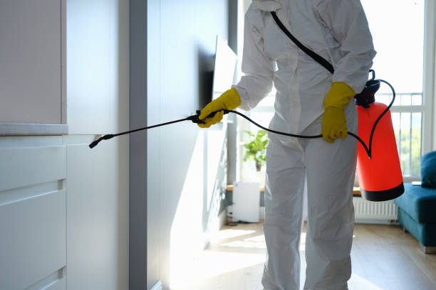 Mold Removal for HVAC Installations in East Basin, UT
